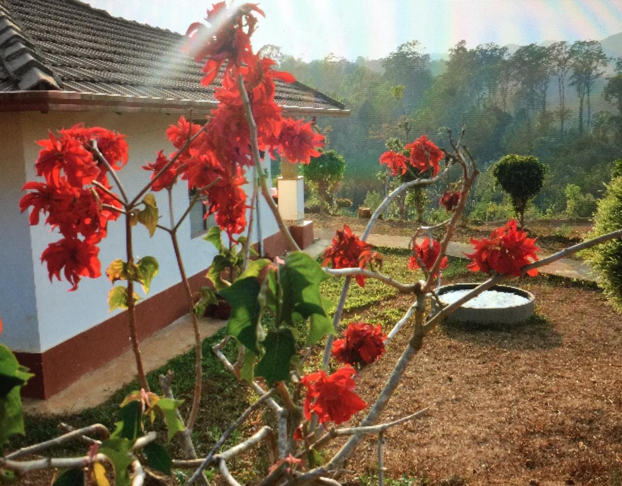 overlooking the cottage